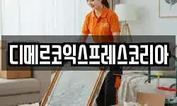 디메르코익스프레스코리아