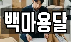 백마용달
