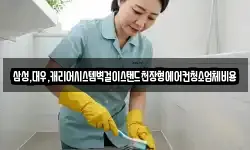 삼성,대우,캐리어시스템벽걸이스탠드천장형에어컨청소업체비용