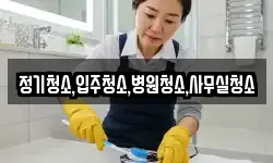 정기청소,입주청소,병원청소,사무실청소