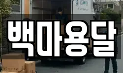 백마용달