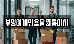 부엉이개인용달원룸이사