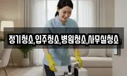 정기청소,입주청소,병원청소,사무실청소