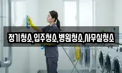 정기청소,입주청소,병원청소,사무실청소