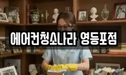 서울특별시 영등포구 당산동6가 청소,입주청소,사무실청소,에어컨청소