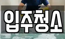 서울특별시 영등포구 도림동 청소,입주청소,사무실청소,에어컨청소