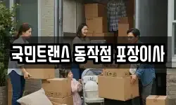 국민트랜스 동작점 포장이사