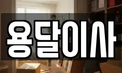 용달이사