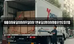 원룸이사용달이사사무실이사1톤용달소형이사화물운반오피스텔
