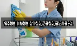 입주청소,이사청소,상가청소,준공청소,줄눈시공-결