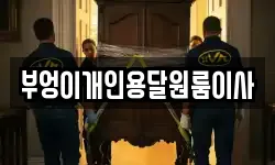 부엉이개인용달원룸이사