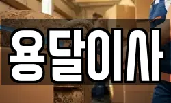 용달이사