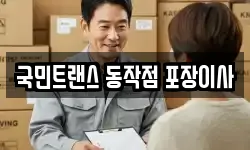 국민트랜스 동작점 포장이사