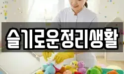 슬기로운정리생활