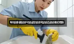 특수청소화재청소바닥청소공장청소사무실청소준공청소예초대행집