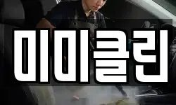 미미클린
