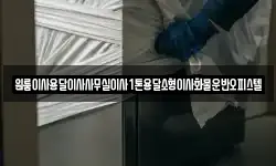 원룸이사용달이사사무실이사1톤용달소형이사화물운반오피스텔