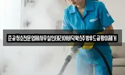 준공청소전문업체사무실인테리어바닥왁스주방후드곰팡이제거