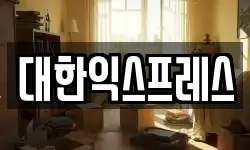 대한익스프레스