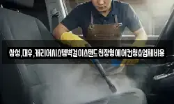 삼성,대우,캐리어시스템벽걸이스탠드천장형에어컨청소업체비용