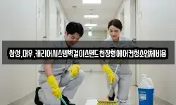 삼성,대우,캐리어시스템벽걸이스탠드천장형에어컨청소업체비용