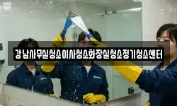 강남사무실청소이사청소화장실청소정기청소센터