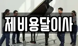 제비용달이사