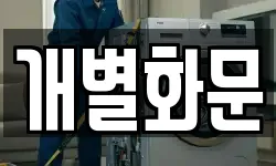 개별화문