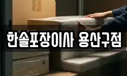 한솔포장이사 용산구점