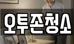 오투존청소