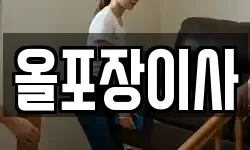 올포장이사
