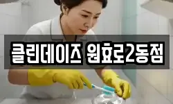 클린데이즈 원효로2동점