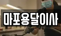마포용달이사