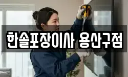 한솔포장이사 용산구점