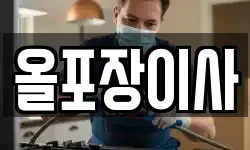 올포장이사