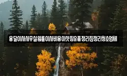 용달이사사무실원룸이사비용이삿짐유품정리집정리청소업체