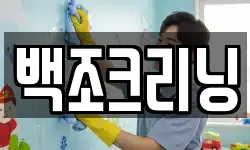 백조크리닝