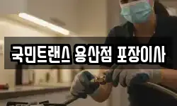 국민트랜스 용산점 포장이사