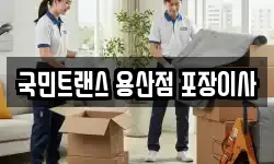 국민트랜스 용산점 포장이사