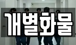 개별화물