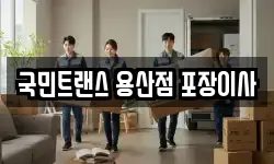 국민트랜스 용산점 포장이사