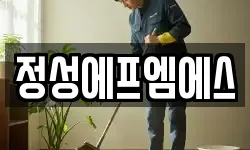 정성에프엠에스