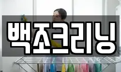 백조크리닝