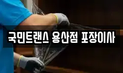 국민트랜스 용산점 포장이사