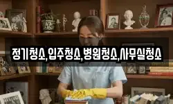 정기청소,입주청소,병원청소,사무실청소