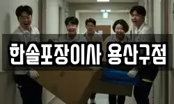 한솔포장이사 용산구점