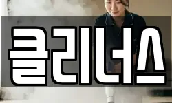 클리너스