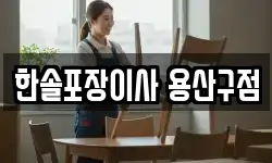한솔포장이사 용산구점