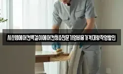 시스템에어컨벽걸이에어컨청소전문기업비용가격대량작업할인