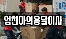 엄친아의용달이사
